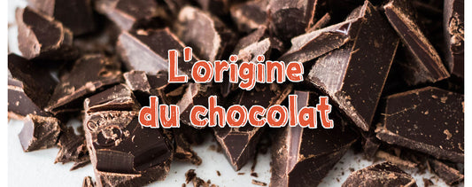 L'origine du chocolat