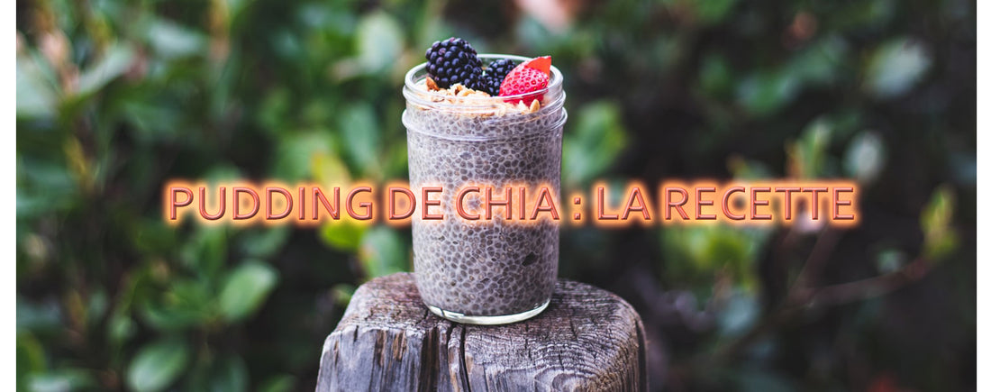 Pudding de Chia : la Recette Ultime !